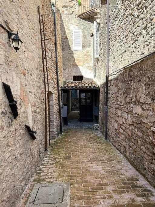 Apartment Sole Alle Torri *
